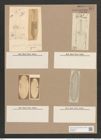 Navicula grunowii Rbh. (de-Toni-Nr.: Genus 1, Species 242) Zeichnungen Sammlung Grunow Nr. 574 (NHMW-BOT-W0366931)